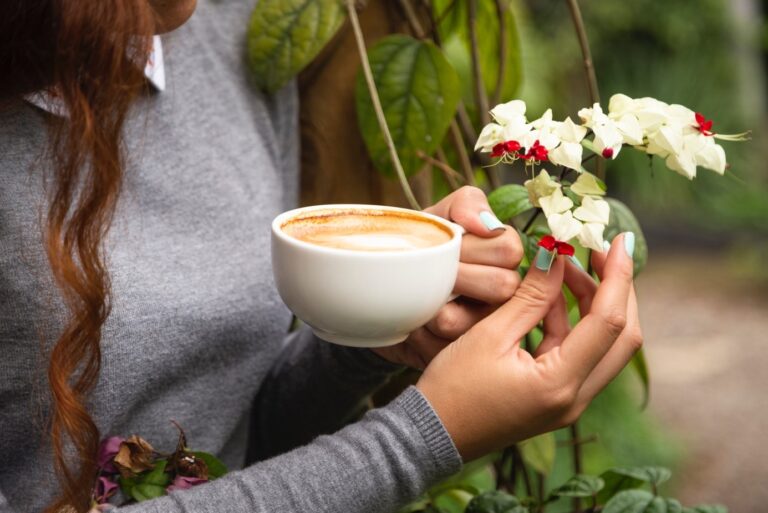 Le Voyage du Café Spécialité : De la Ferme à la Tasse